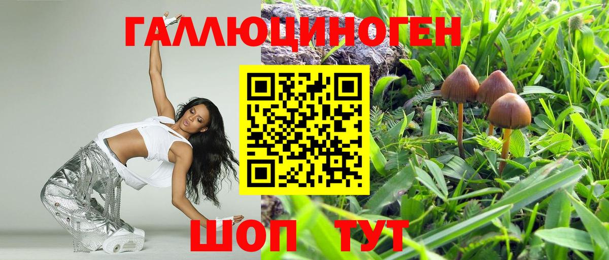 Галлюциногенные грибы GOLDEN TEACHER Ливны