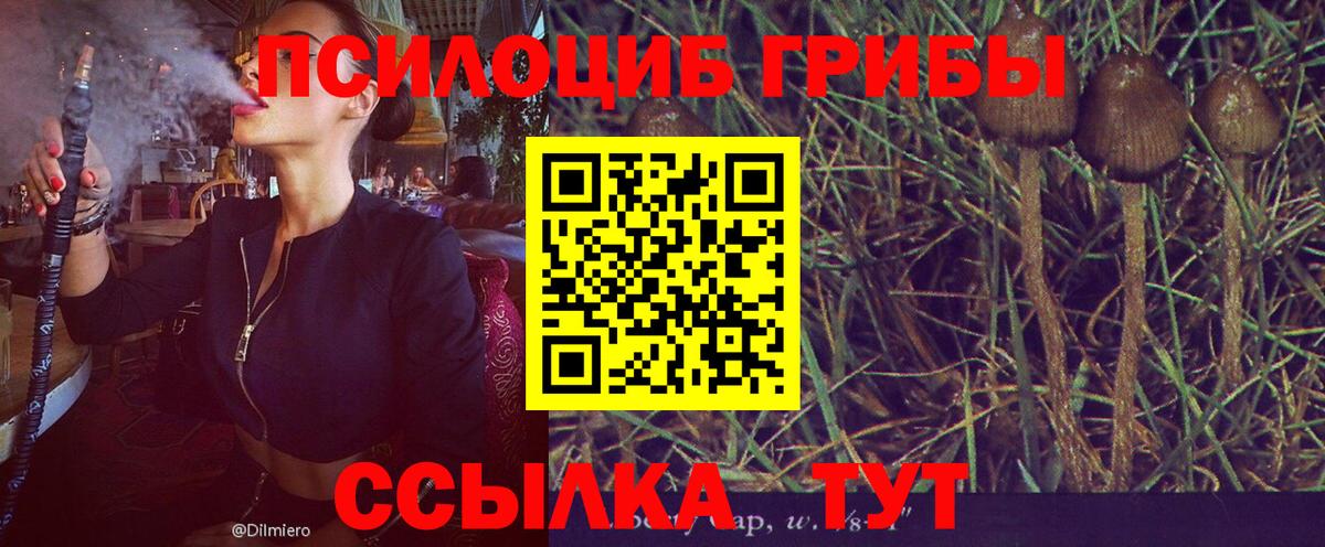 Галлюциногенные грибы ЛСД  Вход с VPN  Ливны 